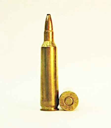 A loaded bottleneck rifle cartridge with a pointed bullet standing beside a fired brass case, the case head stamped '22-250'.