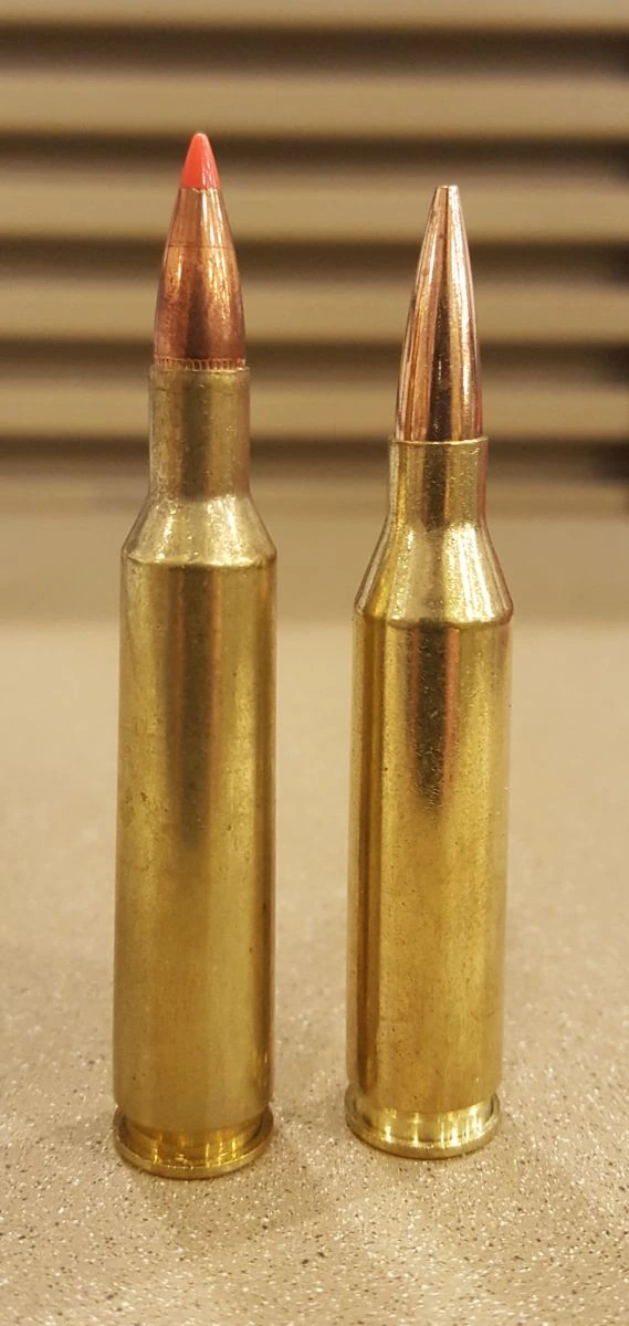 Two bottlenecked brass cartridges of almost identical height standing side by side on a speckled worktop. The left carries a red polymer-tipped bullet seated deep into a short neck; the right carries a plain copper spitzer standing further out of a longer neck.