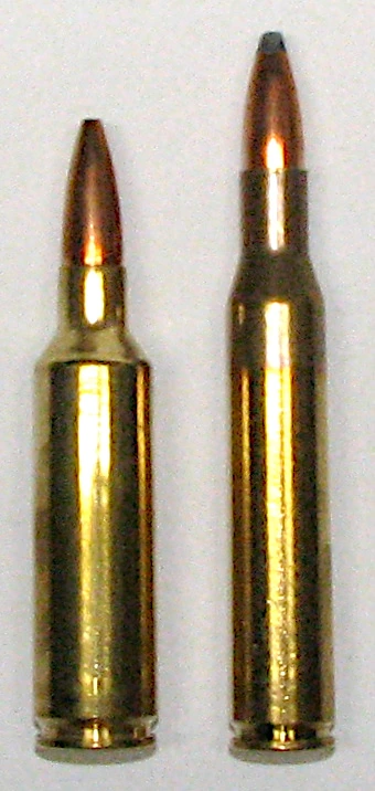 Two brass bottleneck rifle cartridges without bullets, standing side by side, the left one visibly shorter and fatter