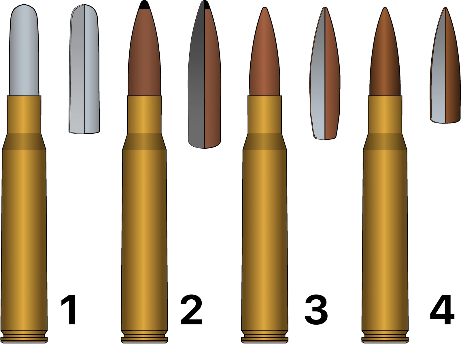 A drawing of four .30-06 cartridges numbered one to four, each shown beside the bullet it carries: a flat-based round nose, a spitzer, a boat-tail and an armour-piercing type.