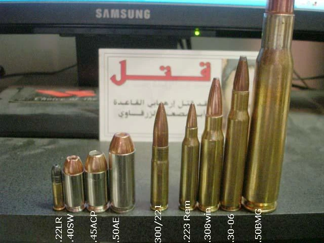 A row of nine rifle and pistol cartridges of increasing size standing upright, labeled by caliber, including .300/.221 (.300 Whisper) near the middle