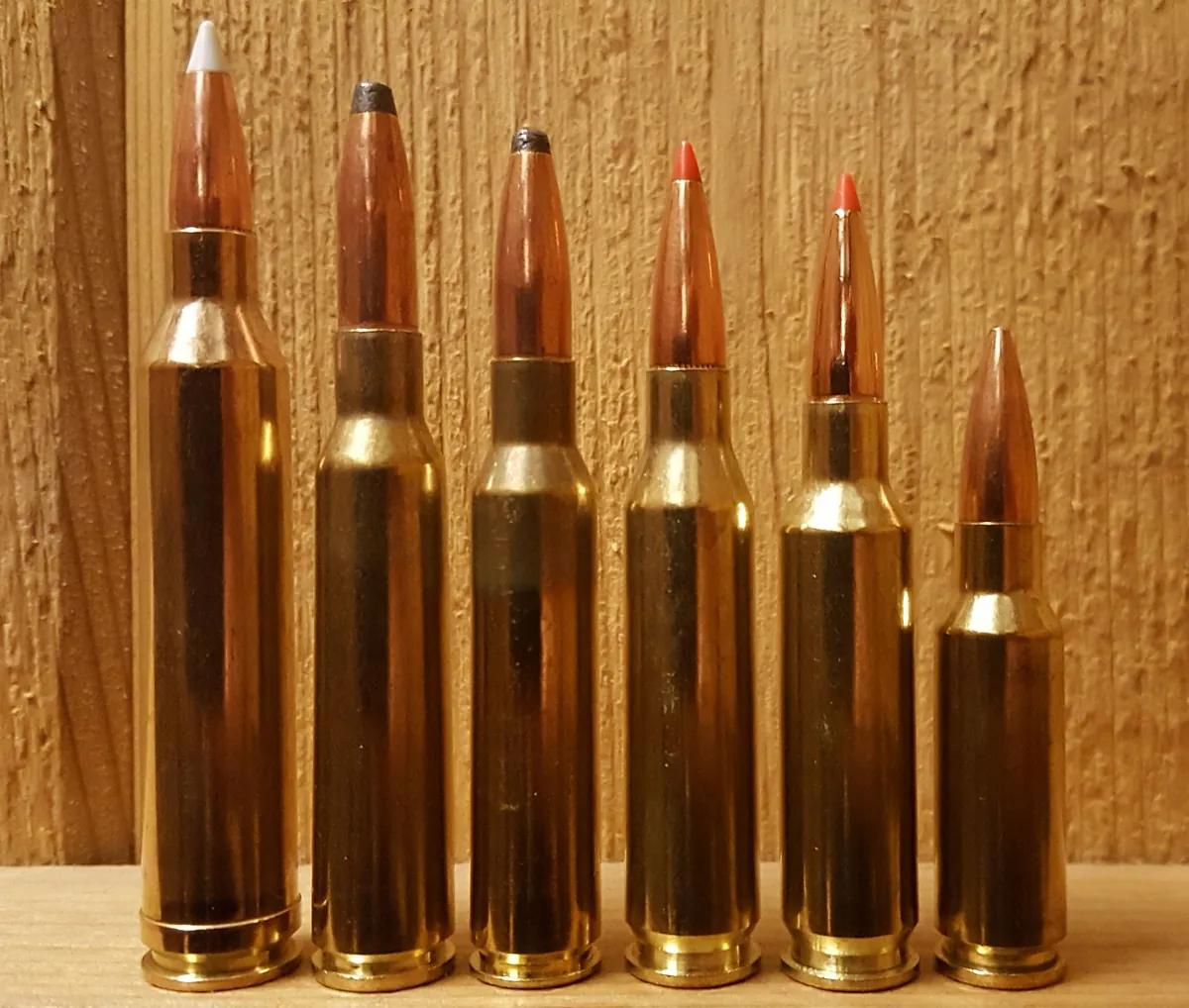 Six brass rifle cartridges of the same bullet diameter standing in a row against a pine board, falling in height from a tall belted-looking magnum on the left to a short stubby round on the right. Bullet tips vary: white polymer, bare lead, then two red polymer tips, then a plain copper spitzer.