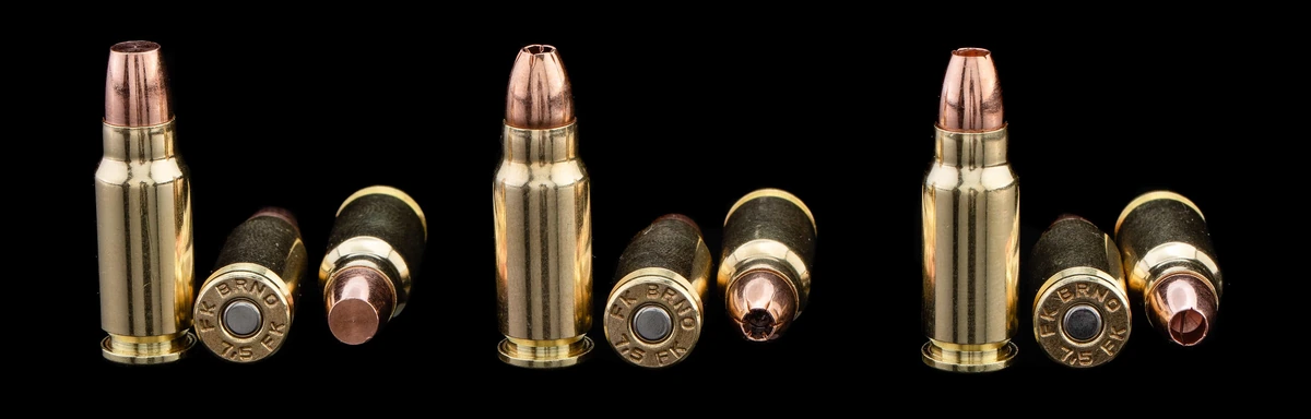 One assembled 7.5 FK cartridge beside two separate bullets of different profiles
