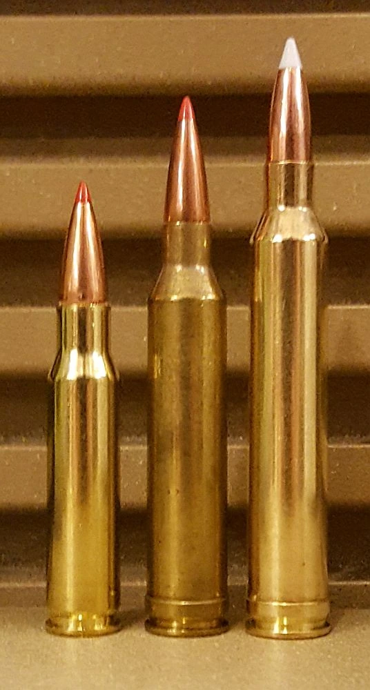 Three brass rifle cartridges of increasing size standing side by side