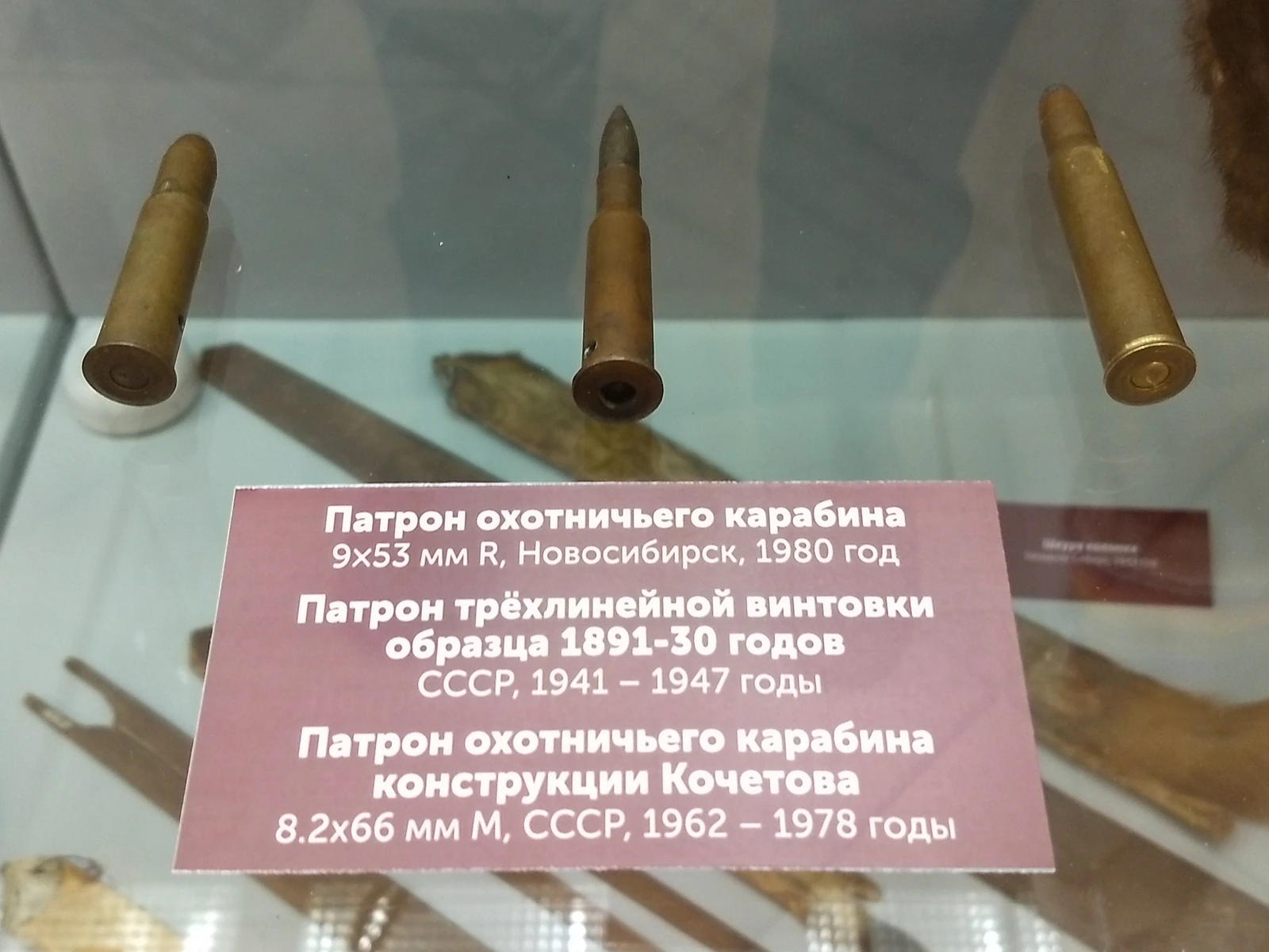 A museum display card showing three labeled rifle cartridges standing upright: 9x53mmR, 7.62x54mmR and 8.2x66mm, with descriptive text in Russian