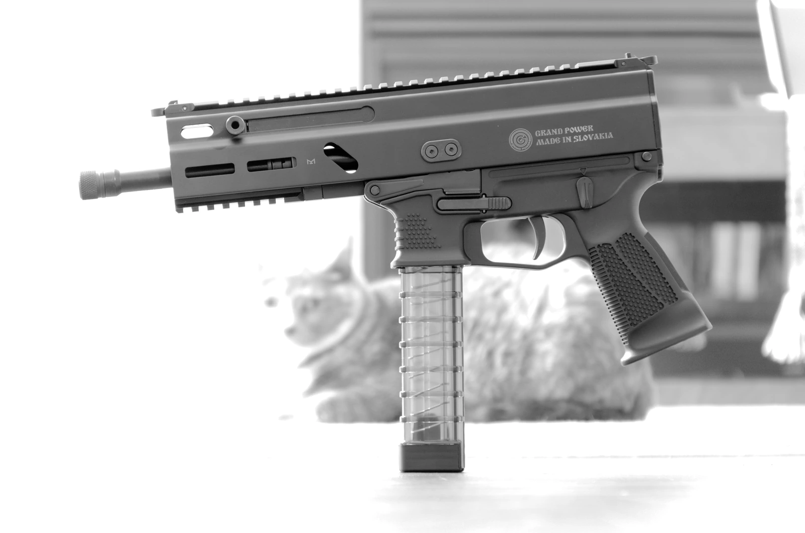 A black polymer-framed pistol with a Picatinny rail above the barrel, a slide-mounted rear sight and a straight magazine, photographed against a light background