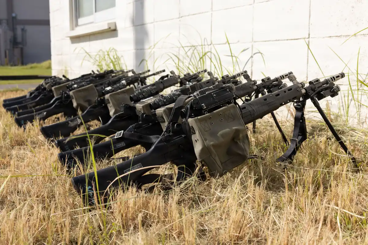 A row of rifles with slings and magazines attached, laid on the ground in grass beside a building.