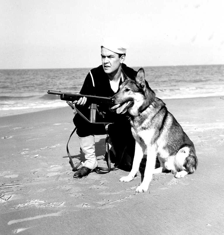 A sailor in a peaked cap kneels on a beach beside a German shepherd dog, holding a submachine gun.