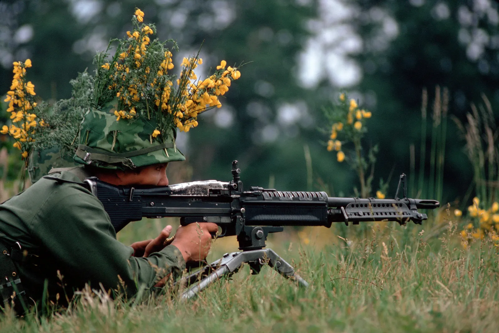 A green-painted M60 machine gun on its integral bipod, seen from the side, with its perforated barrel jacket, carrying handle and belt of linked cartridges feeding into the receiver from the left