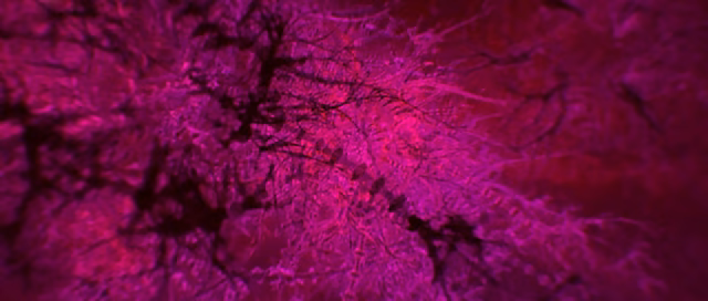 Still 25 of 26 from Enter the Void