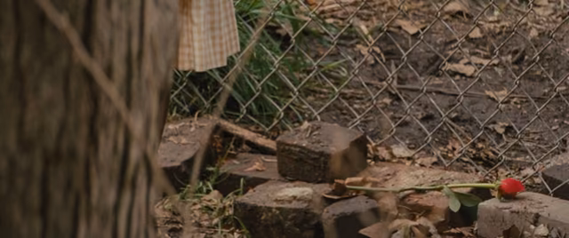 Still 5 of 5 from Fences