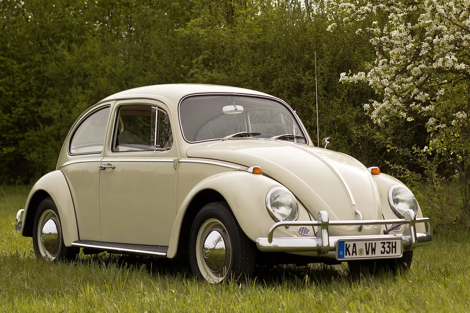Cream-coloured Volkswagen Beetle photographed from the front three-quarter angle in a grassy setting, showing the rounded wings, split chrome bumper overriders and a German number plate