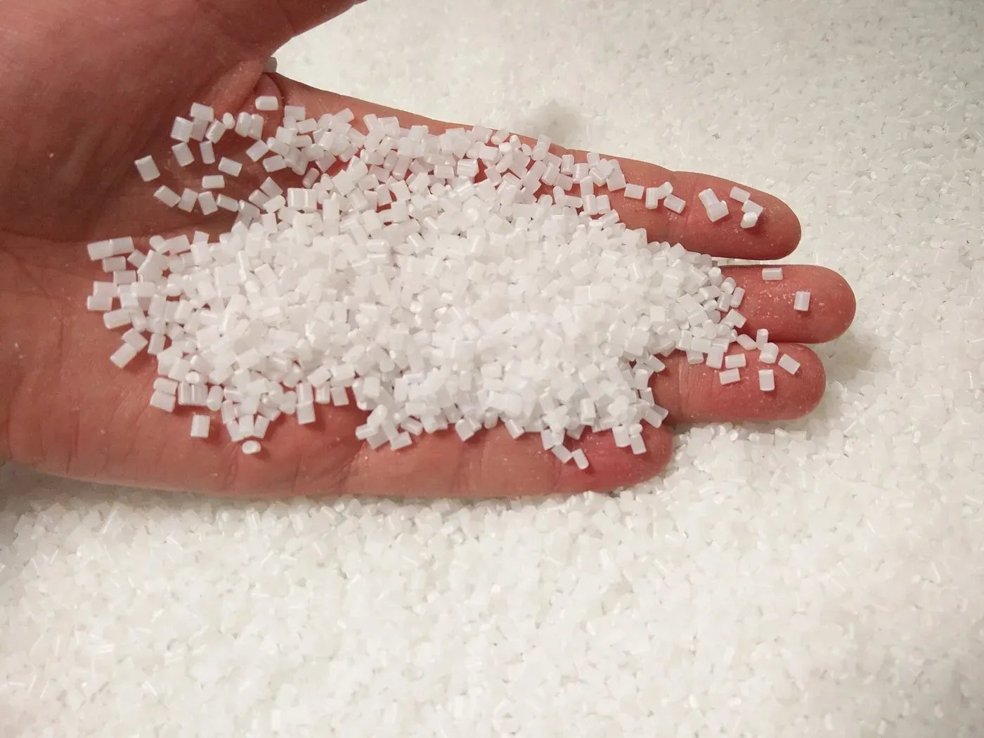 A handful of small white cylindrical plastic pellets held in an open palm, with more pellets scattered on the surface below.