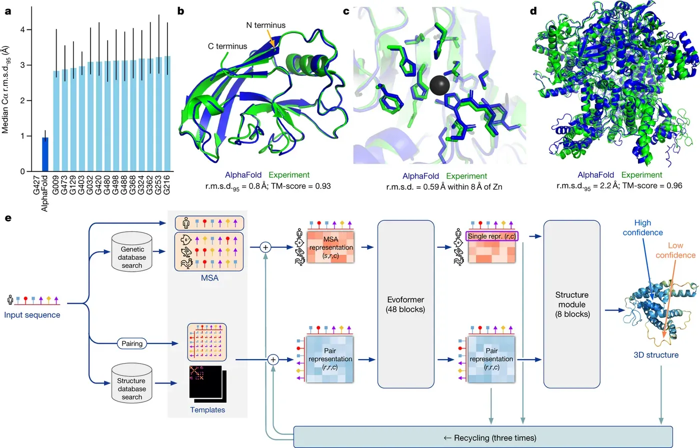 A scientific figure in five panels: a bar chart comparing AlphaFold's median prediction error against fourteen rival groups at the CASP14 competition, three overlaid ribbon-diagram comparisons of predicted (blue) and experimentally determined (green) protein structures, and a schematic of the neural network's internal architecture.