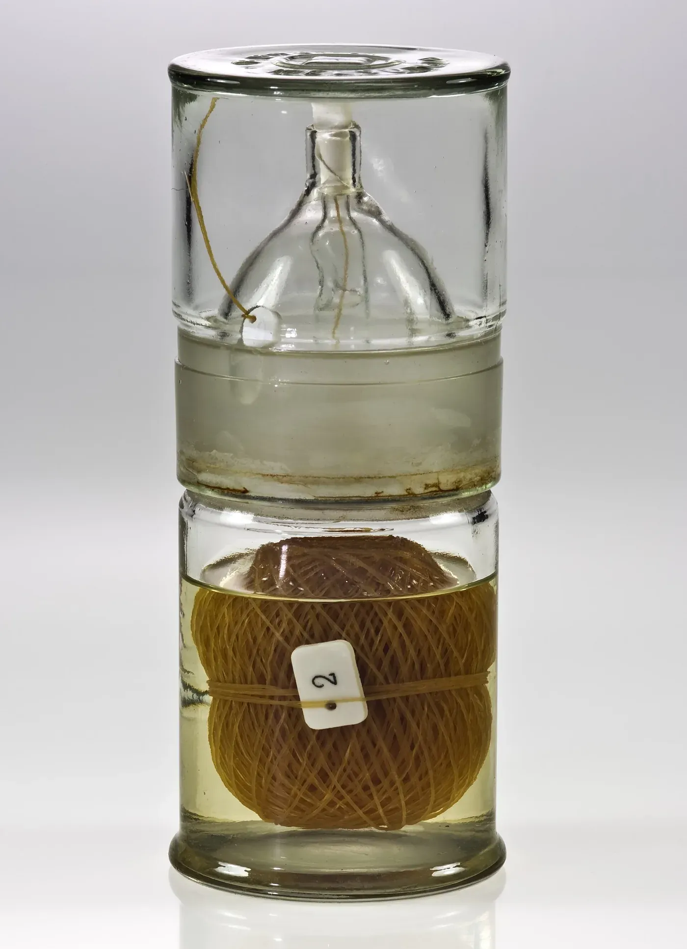 A tall cylindrical glass dispenser jar, its lower chamber holding a large coiled ball of amber-coloured thread submerged in preservative fluid, with a small numbered tag tied around it, and a narrower dispensing neck rising above.