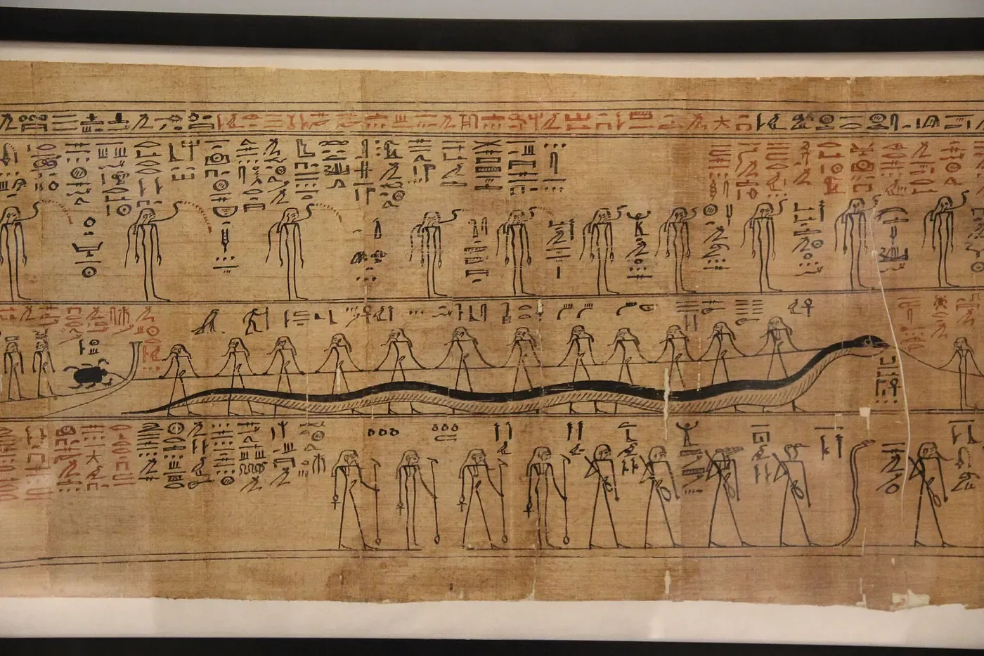 A section of an ancient Egyptian papyrus scroll covered in rows of painted hieroglyphs and figures, including a long serpent motif, mounted under glass.