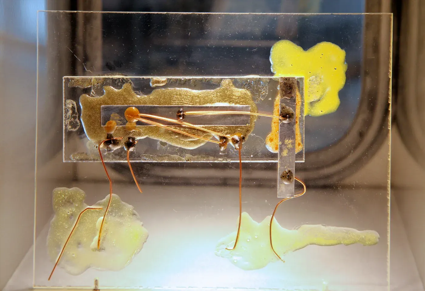 A macro photograph of a small rectangular glass slide mounted with a strip of germanium, gold contact pads, and several fine curved copper wire leads soldered to blobs of solder, displayed behind museum glass.