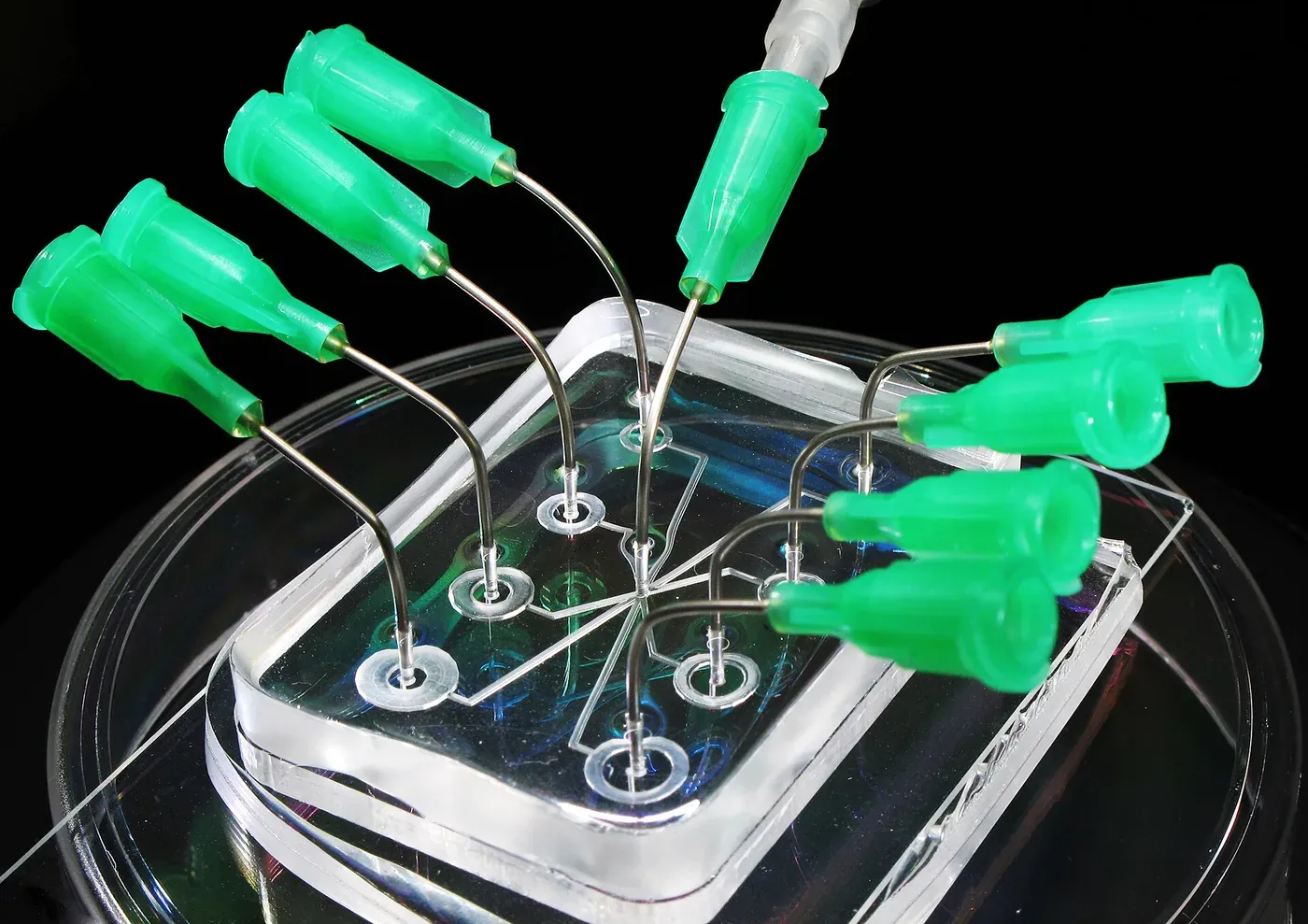 A small, clear, rectangular microfluidic chip with an etched channel network, connected to eight green-hubbed needles by curved steel tubes, sitting in a glass dish.