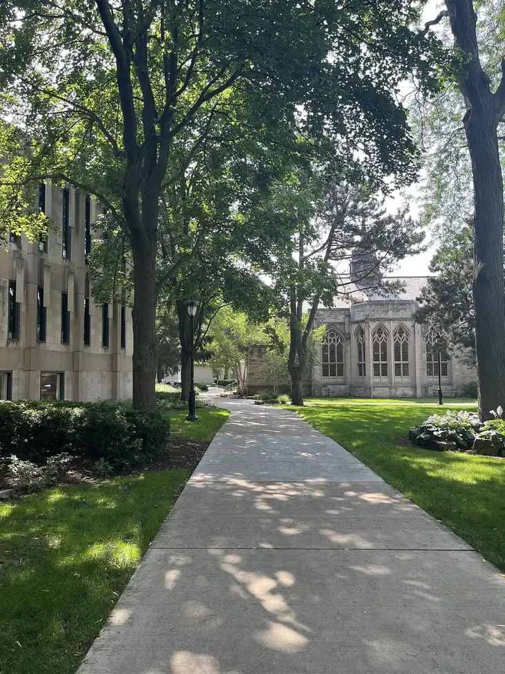 A tree-lined stone footpath on a university campus, leading toward a Gothic-style building with pointed arched windows, flanked by another stone building on the left.