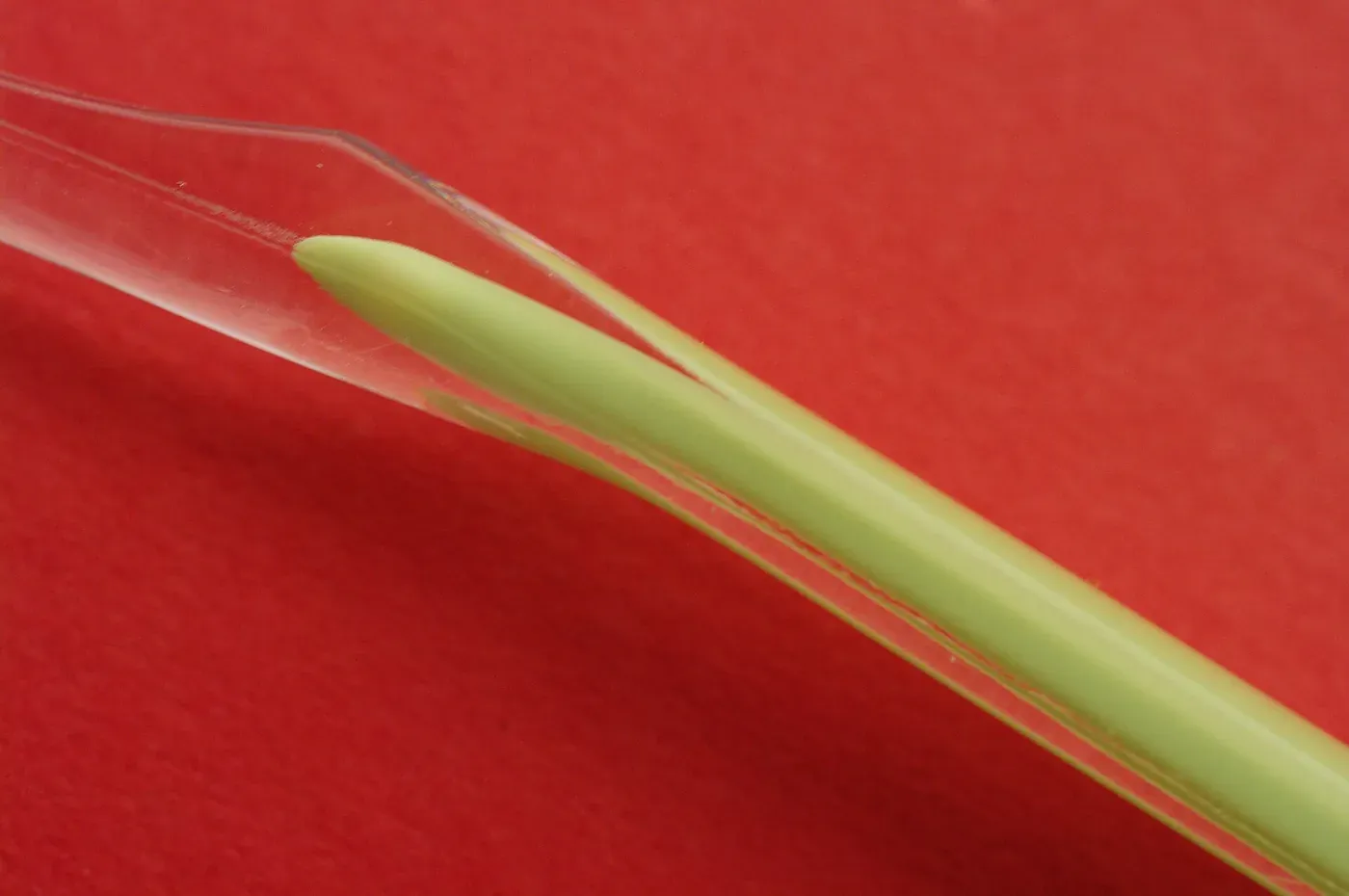 Close-up of a clear rigid plastic handle tip with a flexible green strip of a second, softer plastic running down its centre and protruding slightly beyond the clear material.