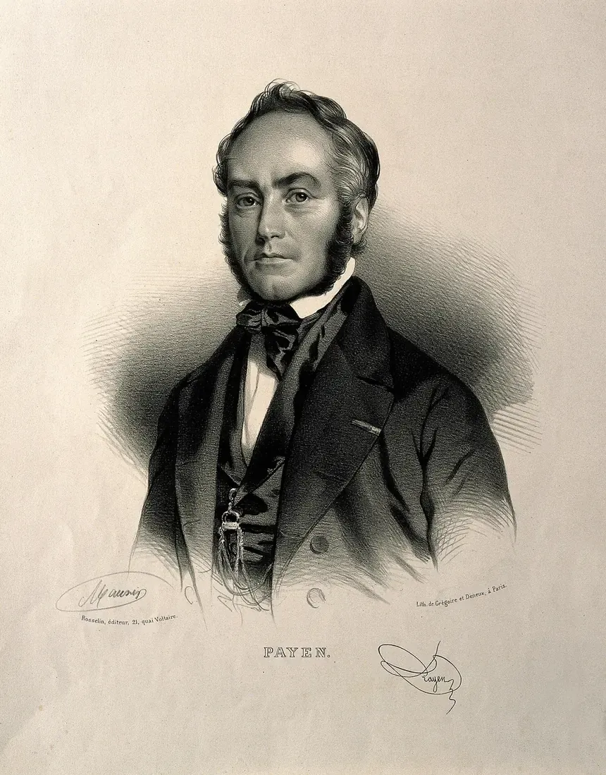 A lithographed half-length portrait of a clean-shaven, side-whiskered man in a dark coat and cravat, signed 'Payen' beneath the image.