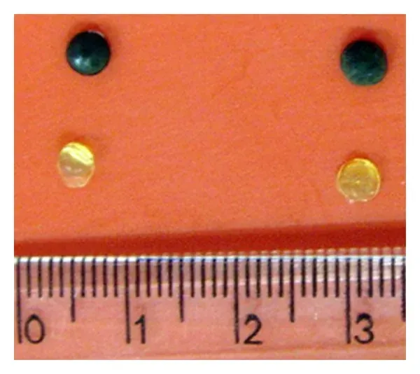 Four small round polymer discs on an orange background above a centimetre ruler: two dark green discs coated with polyaniline, and two smaller pale yellow uncoated discs, each only a few millimetres across.