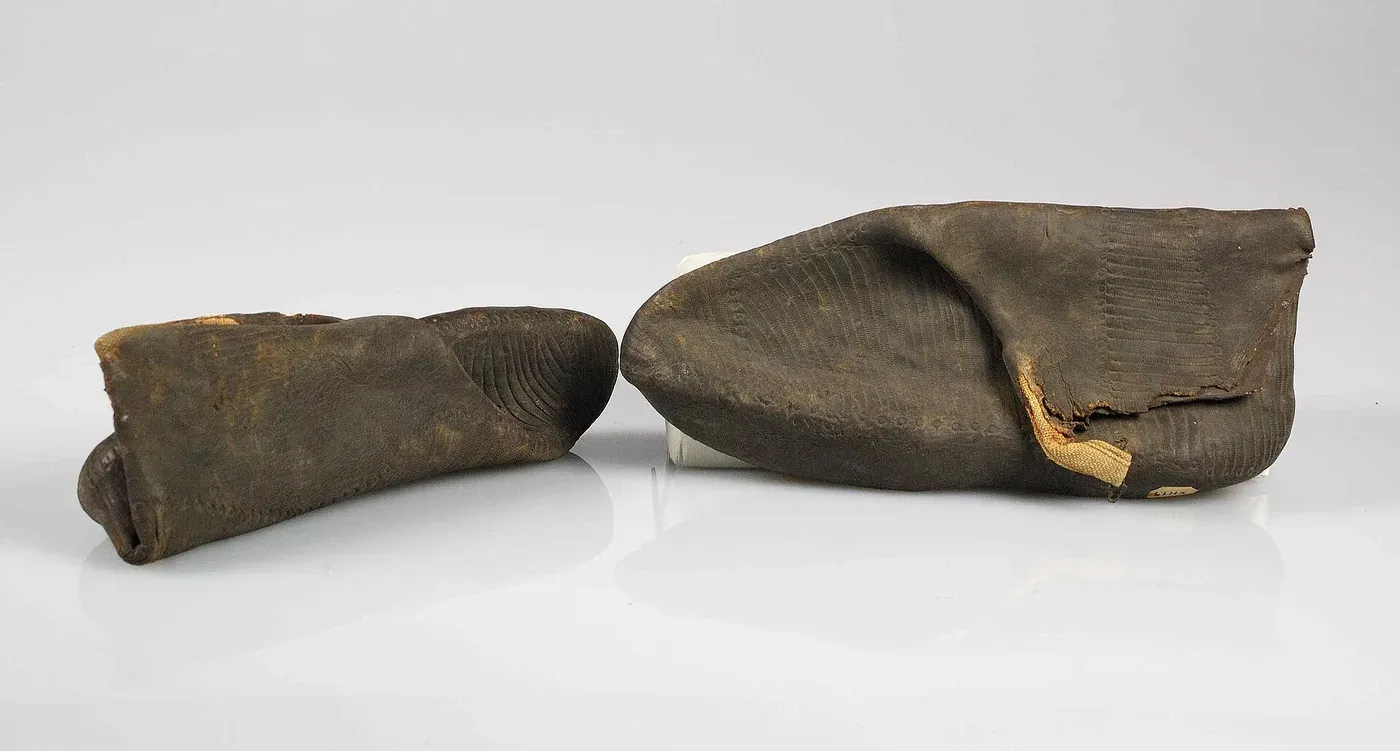 A pair of dark, glossy rubber overshoes with rounded toes, photographed against a plain background.