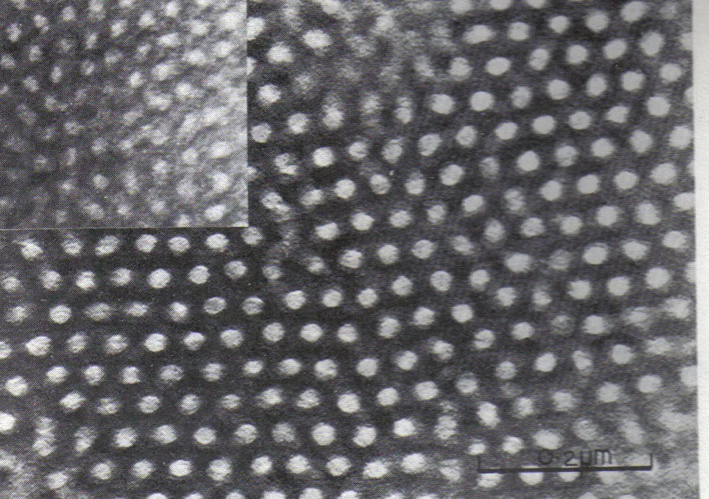 A black-and-white transmission electron micrograph showing a dense field of small pale dots scattered across a dark background, with a 0.2 micrometre scale bar in the corner.