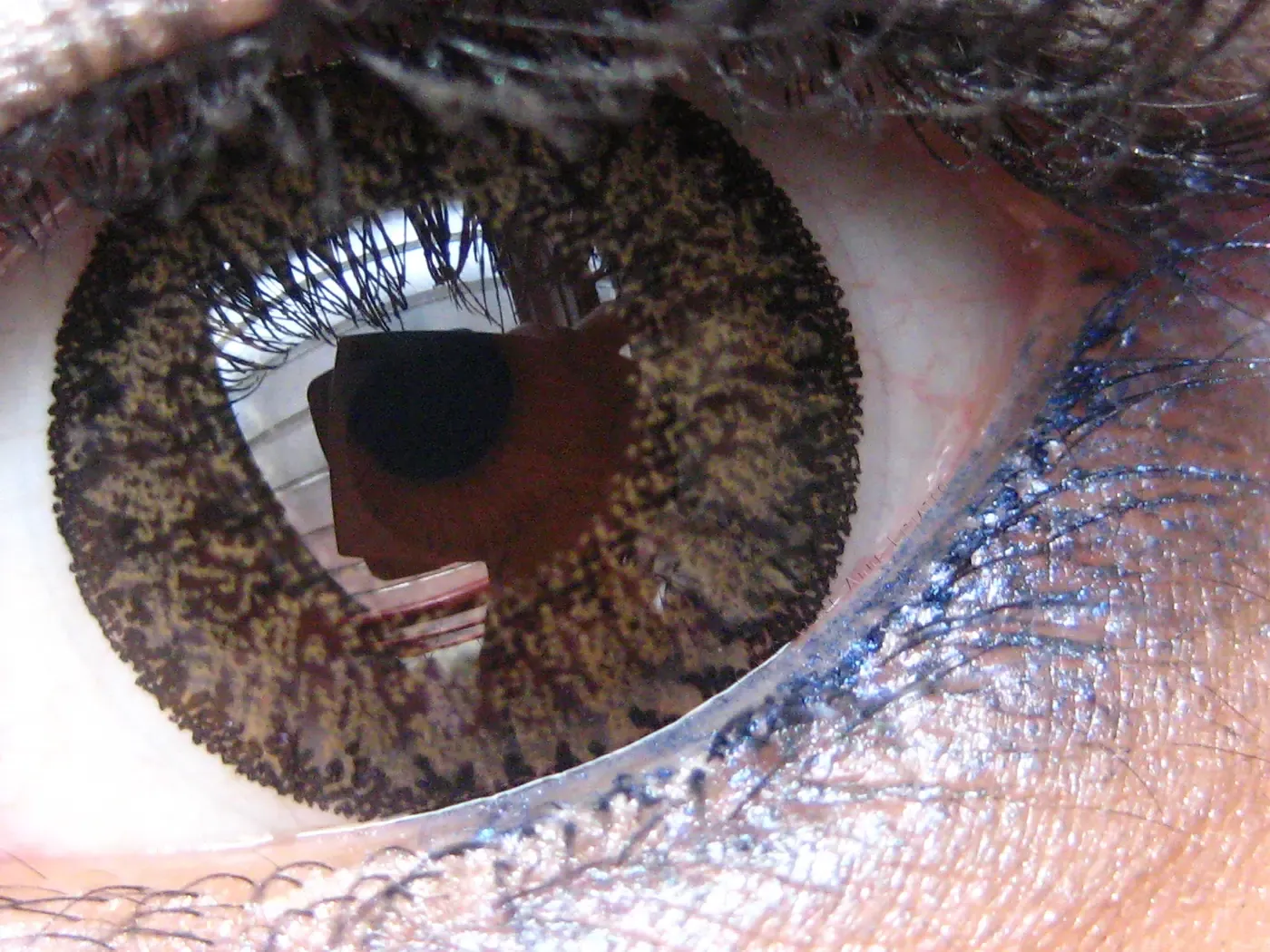 An extreme close-up of a human eye wearing a patterned soft contact lens, its printed iris design visible around the wearer's own pupil, with eyelashes framing the shot.