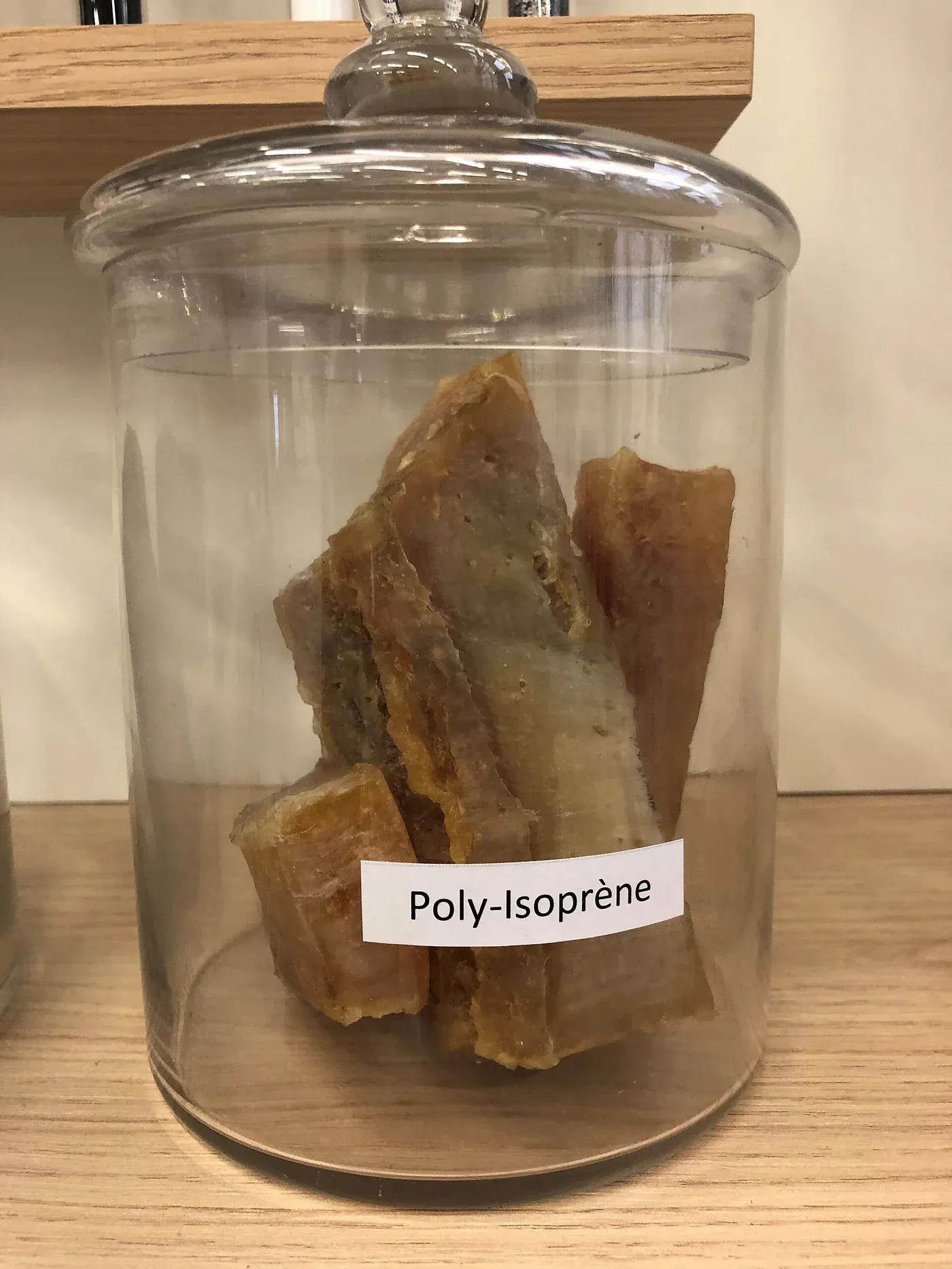 Several irregular chunks of translucent amber and pale tan solid rubber inside a labelled glass specimen jar on a wooden shelf, the label reading 'Poly-Isoprene'.