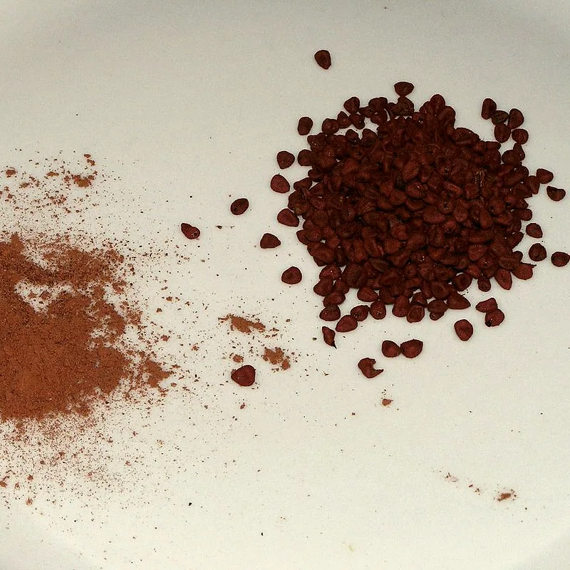 A pile of whole annatto seeds next to ground achiote powder