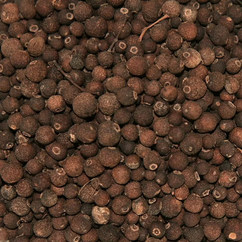 A close view of dried whole allspice berries, small round and dark brown