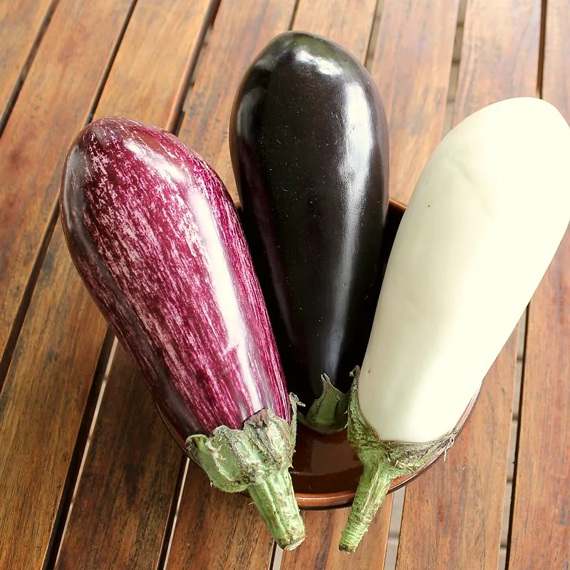 Three whole aubergines side by side: striped purple, glossy dark purple and pale white varieties