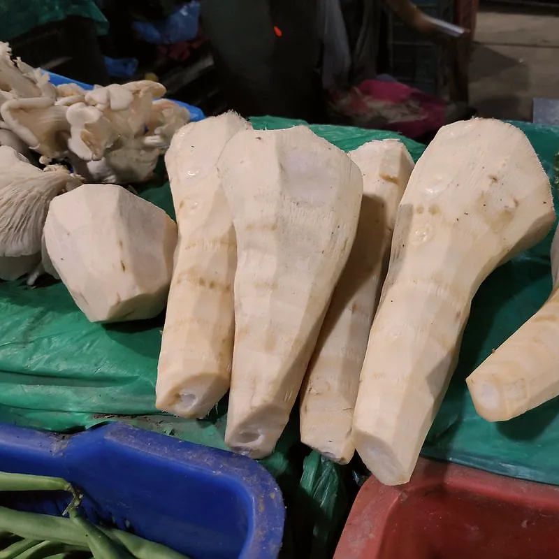 Peeled fresh bamboo shoots on a market stall
