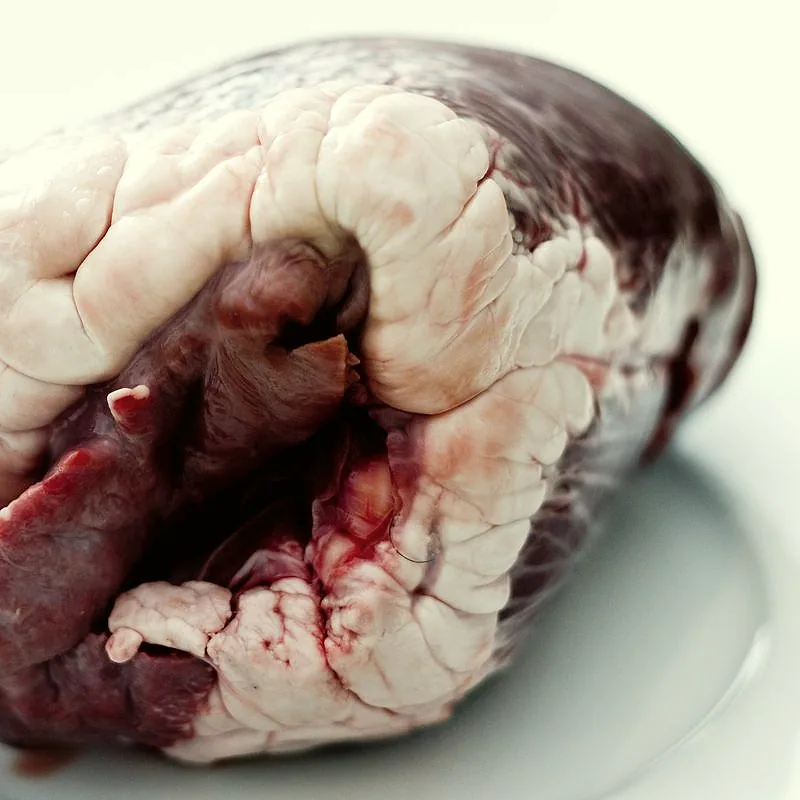 A whole raw beef heart, showing its dark red muscle and pale interior chambers, on a white surface