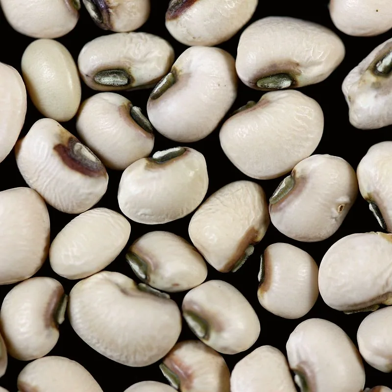 Close-up of dried black-eyed peas showing their characteristic black-ringed eye
