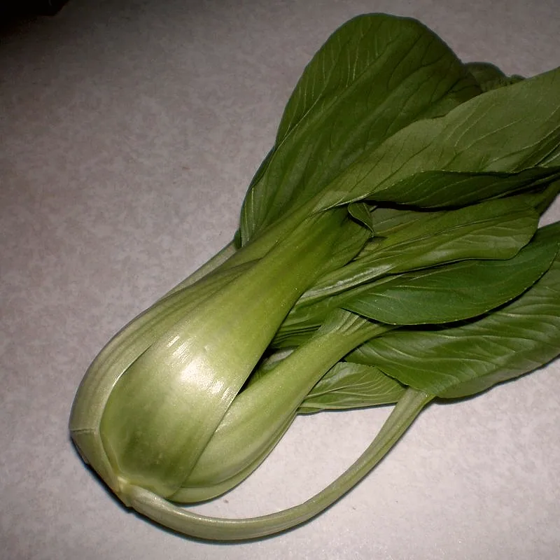 A whole raw bok choy head with pale green stalks and dark green leaves on a countertop