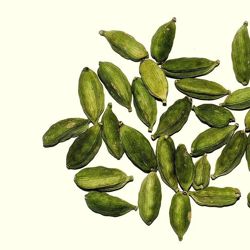A scattering of whole green cardamom pods