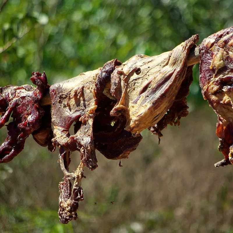 Strips of sun-dried beef, carne seca, hanging to cure outdoors