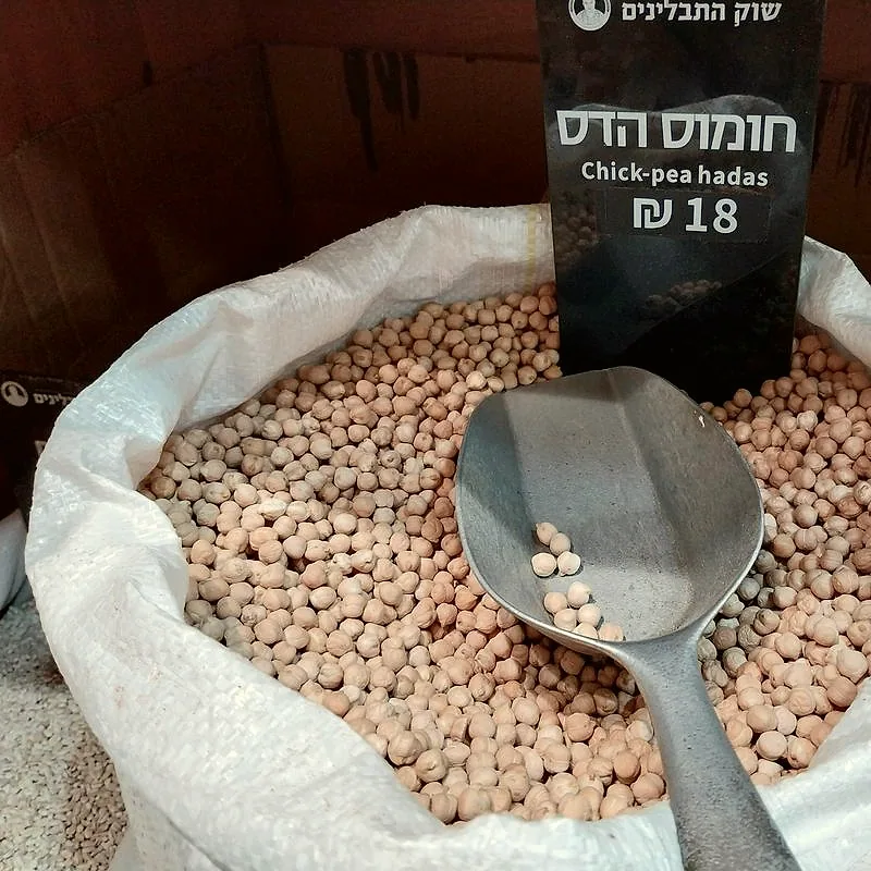 Dried chickpeas heaped in an open sack with a metal scoop