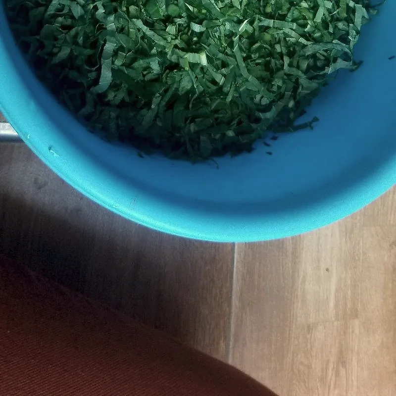 Raw collard greens, shredded into ribbons, in a bowl