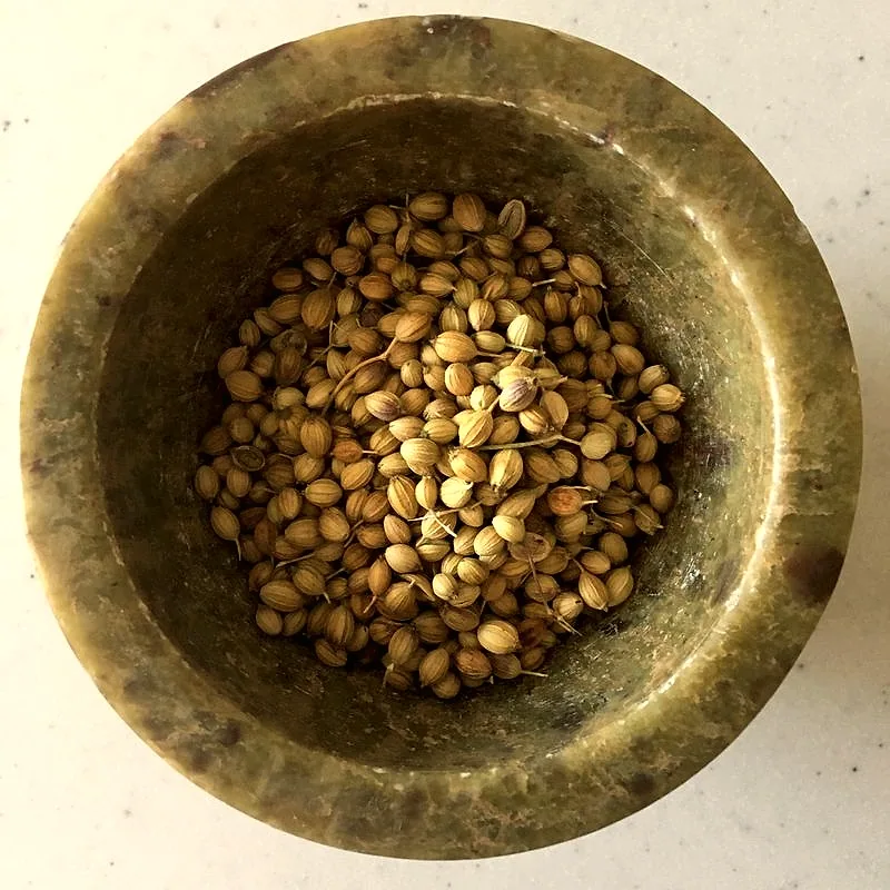 Whole dried coriander seeds piled in a stone mortar