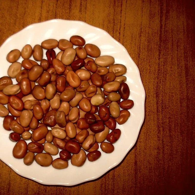 A plate of dried broad beans