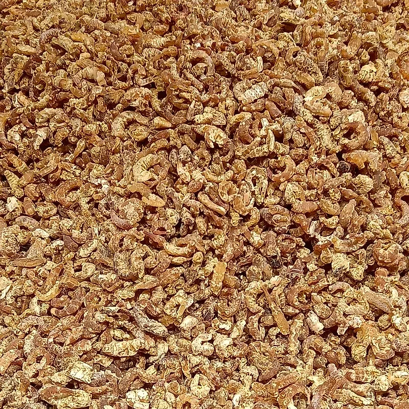 A mass of small dried shrimp, pale orange and curled