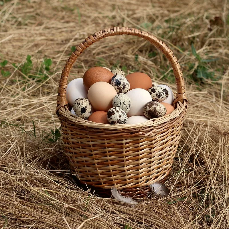 Brown and white hen eggs in a wicker basket