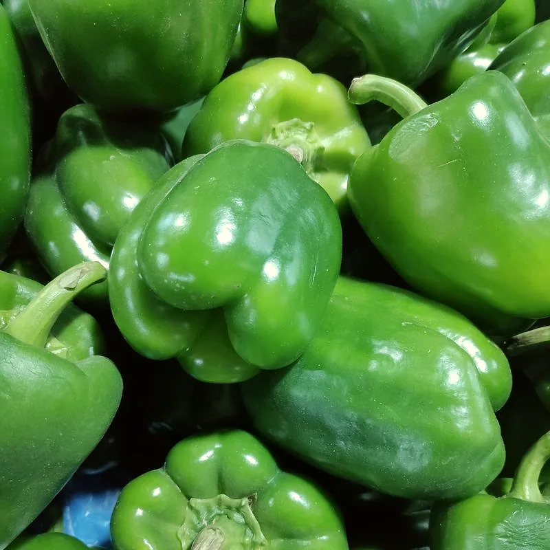 A pile of glossy green bell peppers