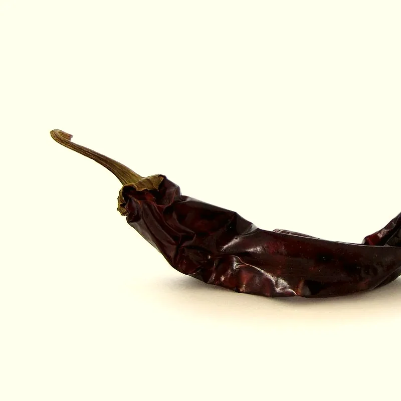 A dried, dark reddish-brown guajillo chilli pod