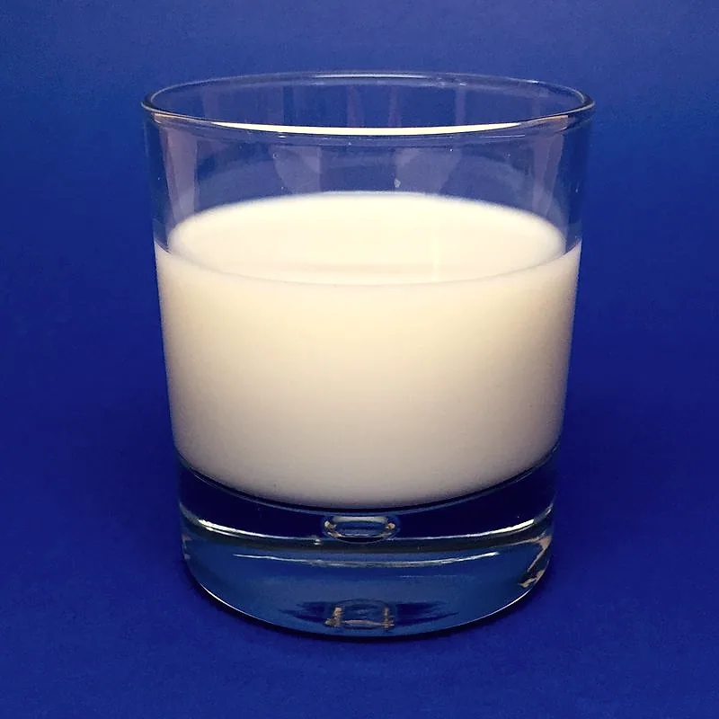 A short glass of plain white milk against a blue background