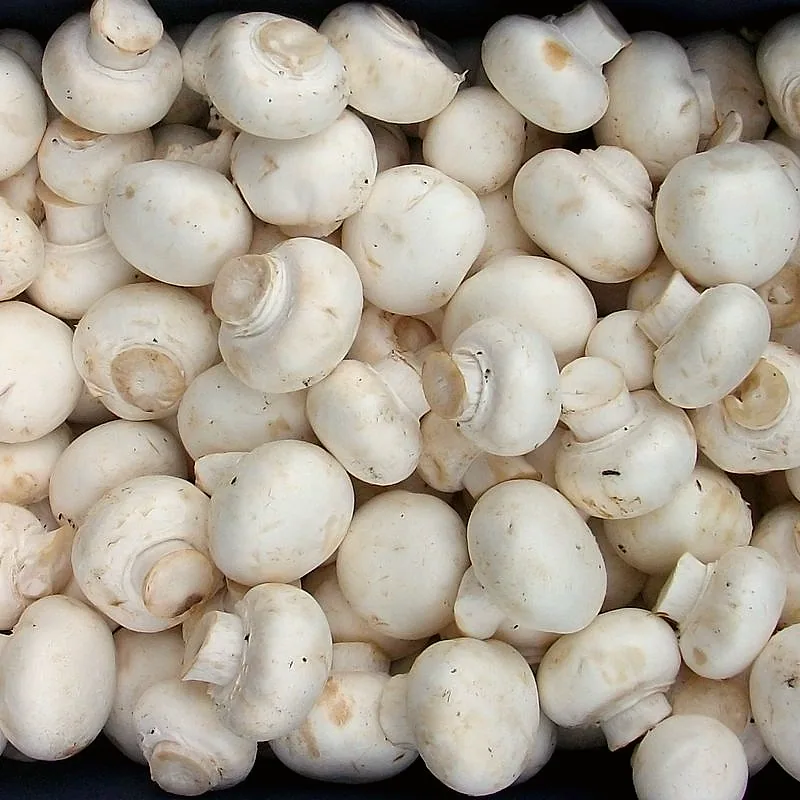 Raw white button mushrooms