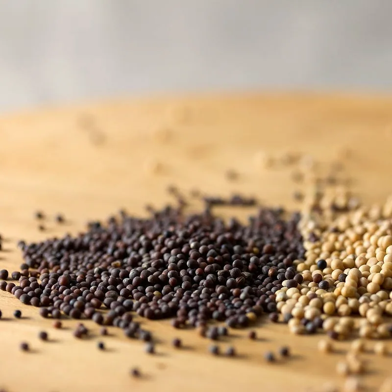 Piles of black and yellow mustard seeds